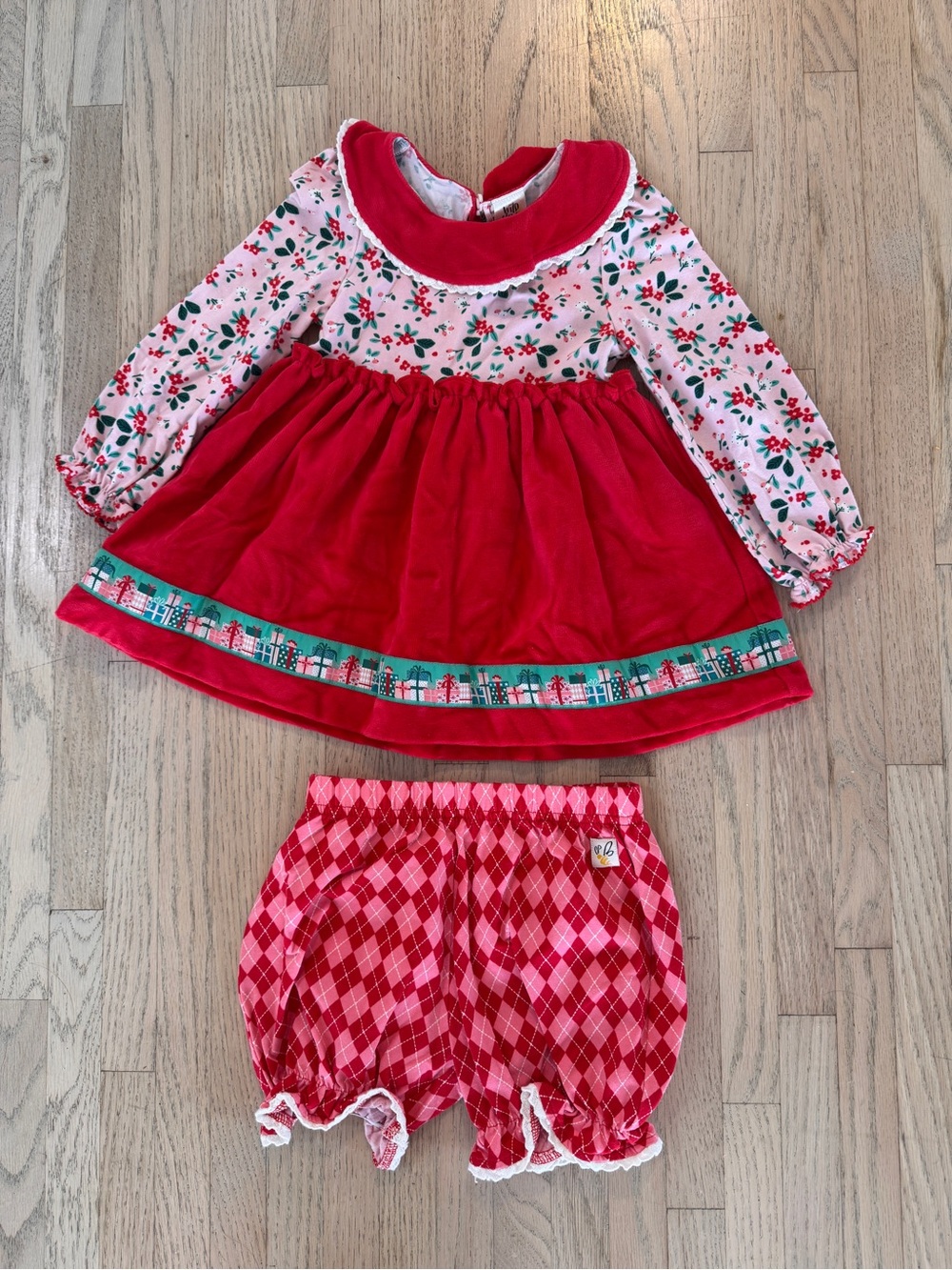 Wild Flowers la-di-da Floral Velvet Holiday Dress with Argyle Bloomers